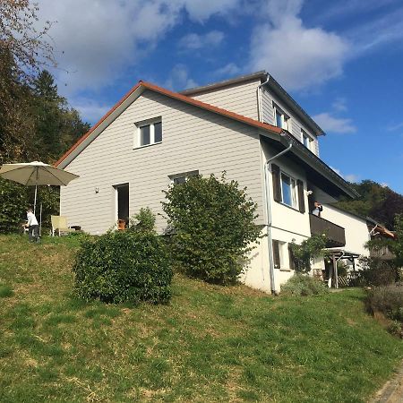 Alpenpanorama Am Hochrhein Villa Gailingen Luaran gambar