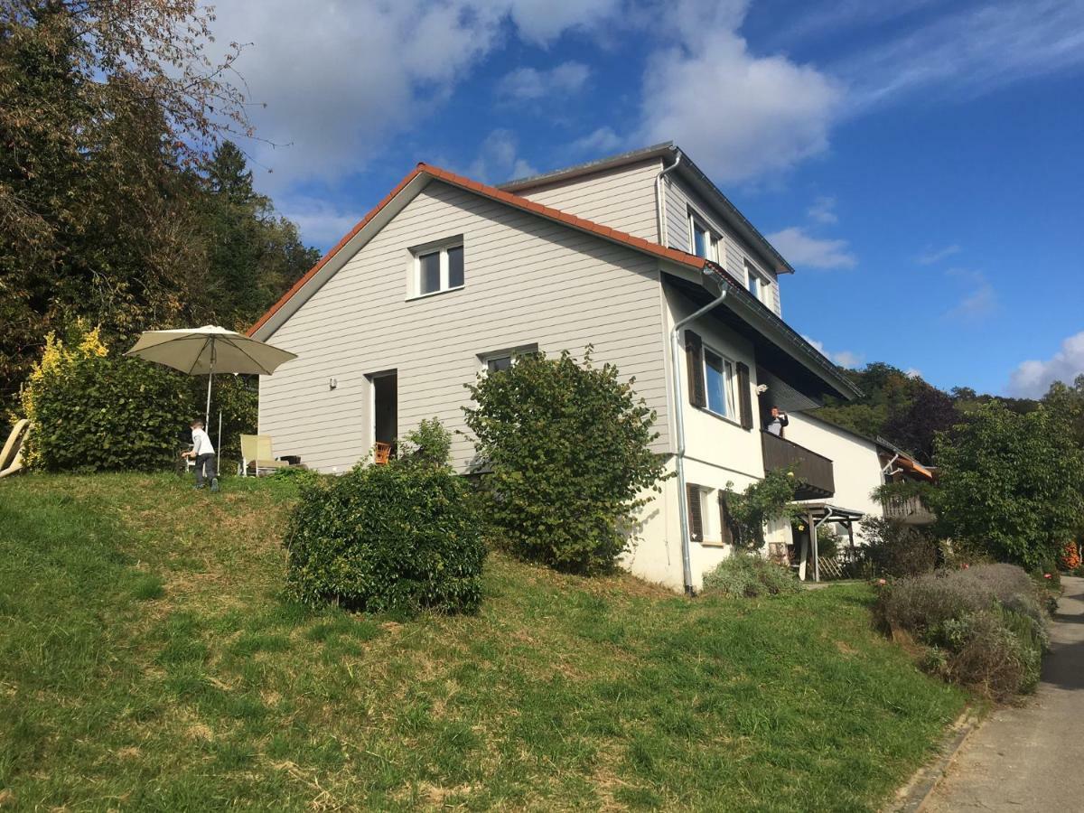 Alpenpanorama Am Hochrhein Villa Gailingen Luaran gambar