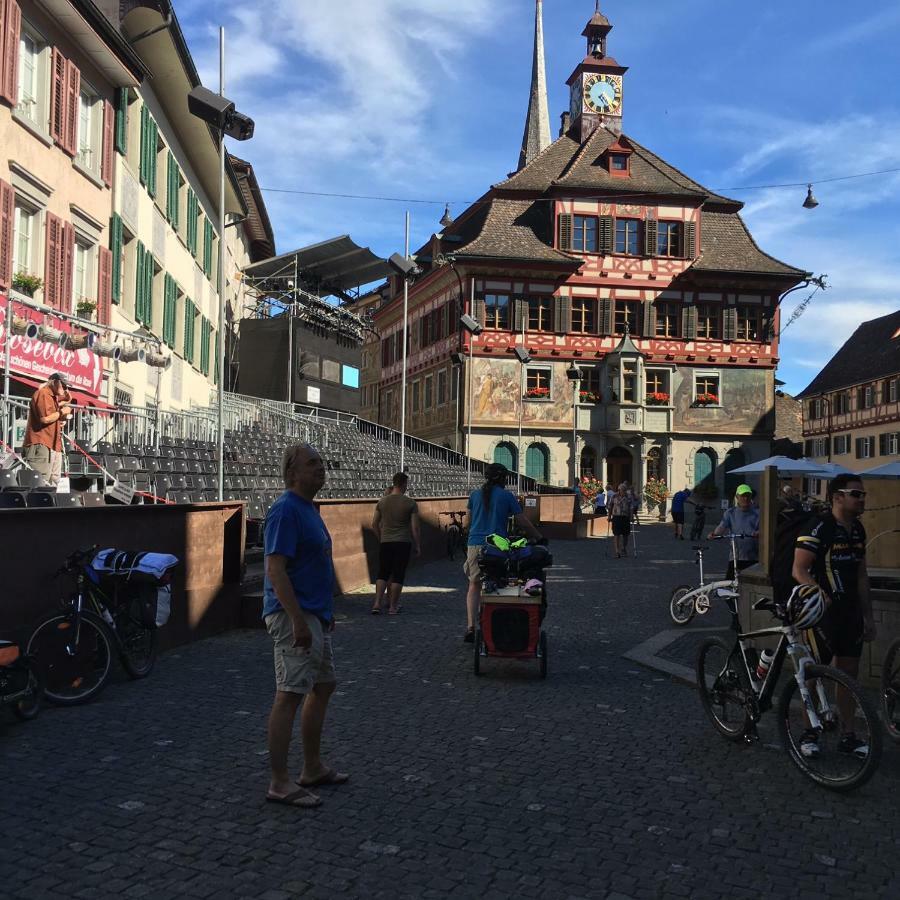 Alpenpanorama Am Hochrhein Villa Gailingen Luaran gambar